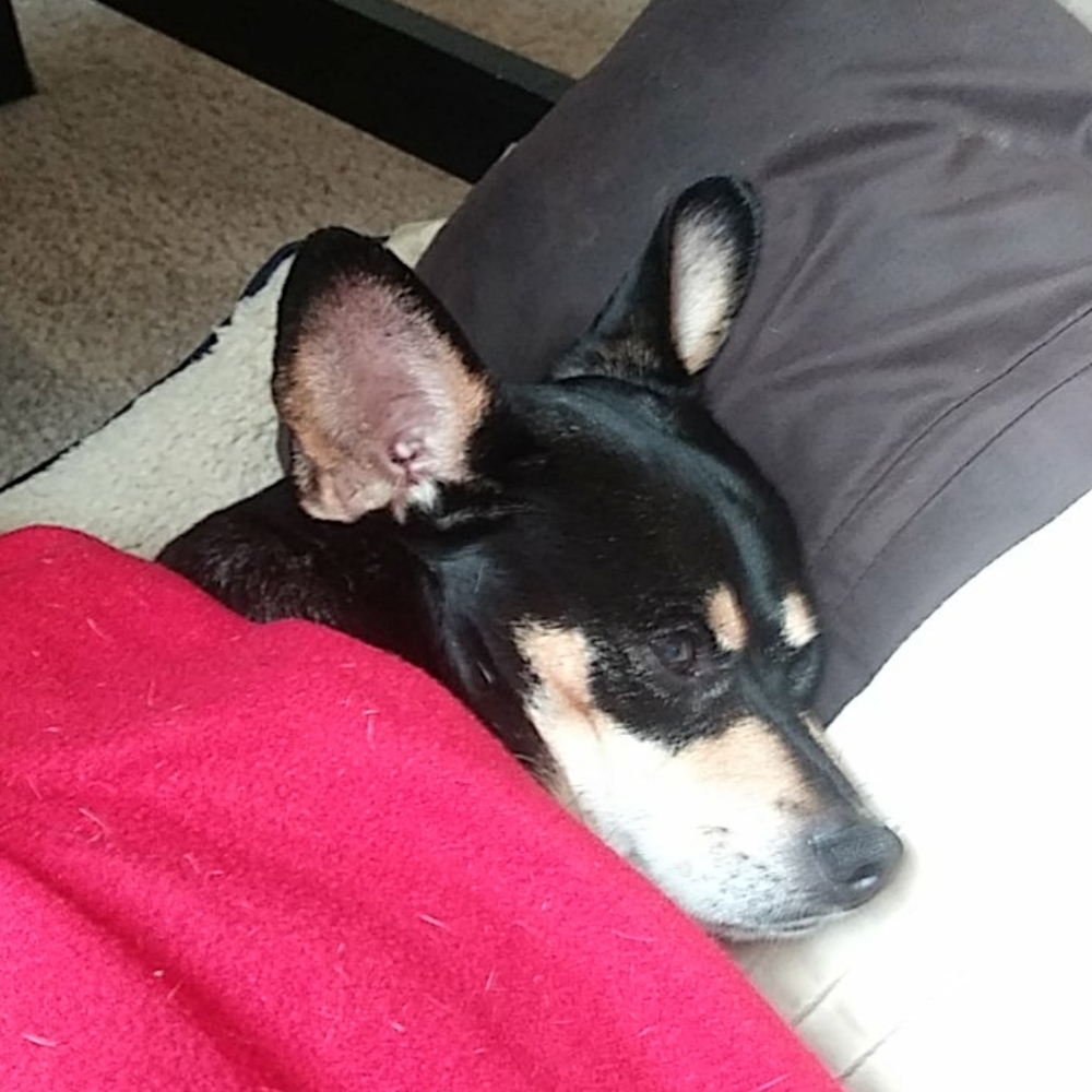 A good pic of him